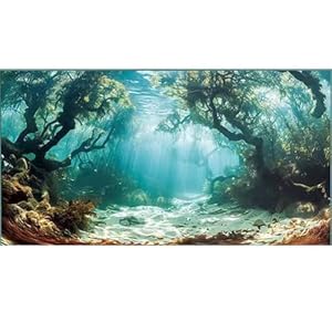 Didooou 3D-Hintergrundbild Aquarium Aufkleber (40 x 80 cm)