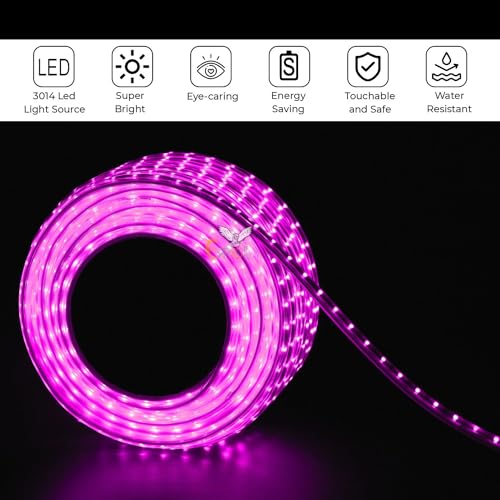 Image of Errol led Strip Lights for Home Decoration | Waterproof led Rope Lights | Energy Saving Strip Light for Room | Home Decor Lights for Diwali, Christmas, Outdoor (Pink, 10 Meter)