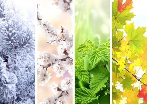 Ququatre saisons paysage toile de fond pour décors de classe et école