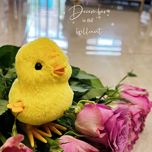 2 PCS Rabbit / Little Yellow Chicken Wind Up Toys for Kids,Simulated Plush Rabbit Wind Up Chick for Easter Gift,Clockwork Jumping Chick Bunny Toys for Kids Easter Egg Hunt Basket Filler Party Favors - Image 4