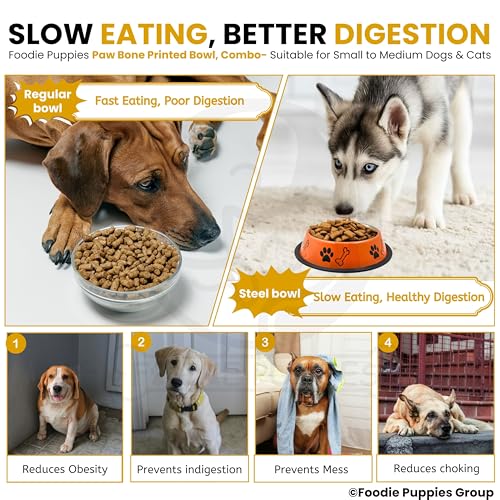 Image of Foodie Puppies Stainless Steel Dog Bowl Combo - (Medium, 700ml) Food and Water Feeding Gift Bowl | Suitable for Dogs, Cats and Other Pets I Paw Bone Print, Anti-Skid Rubber Base (Yellow + Orange)
