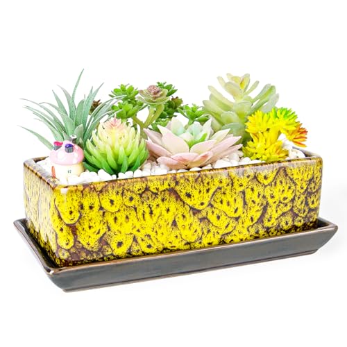 Succulent Pots - Long Rectangle Succulent Planters with Drainage Tray