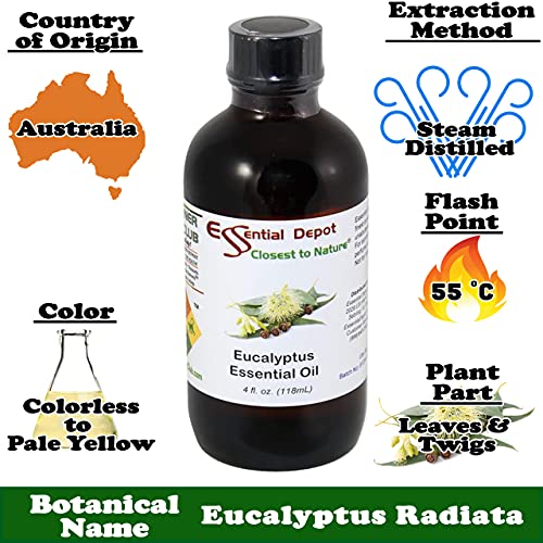 Aceite Esencial de Eucalipto Essential Depot 4 oz miniatura 4