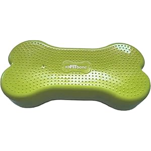 FitPAWS® K9FITbone CanineGym® Dog Balance Training Platform – Regular, Green
