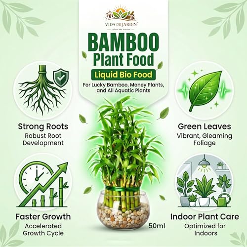 Image of Bamboo Plant Food Liquid Bio Food, for Lucky Bamboo, Money Plants and Aquatic Plants, 50 ml (Pack of 1)