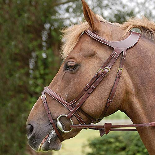 Bridon Difference Dy'on en cuir marron taille cheval pour le confort du style