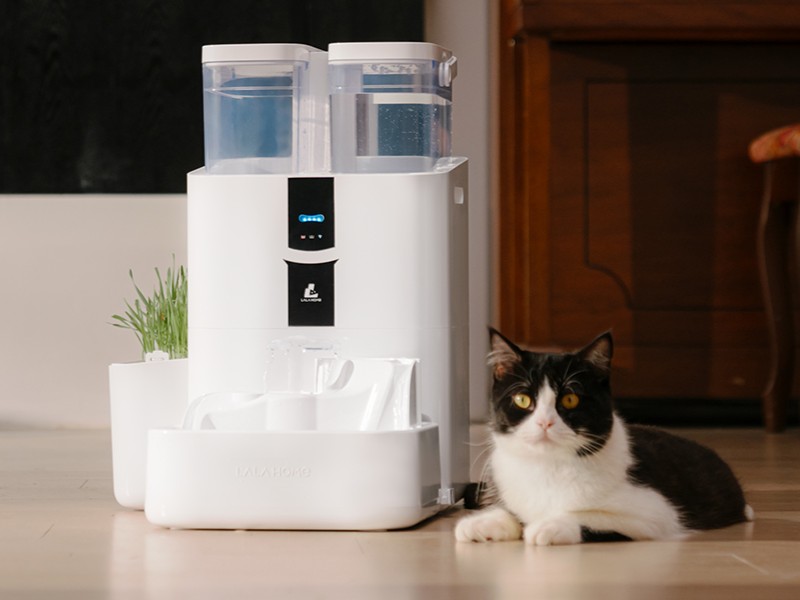 Amazon | ペット自動給水器 LALAHOME RealFountain 猫用給水器 犬用