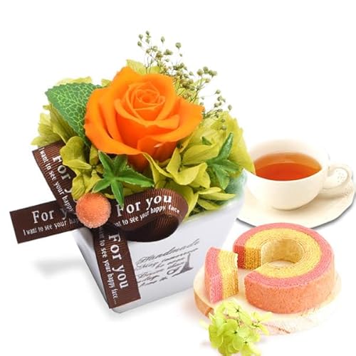  av[g  o oE vU[uht[ AWg ԂƂَq GbtF IW