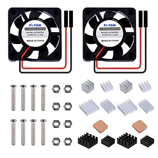 GeeekPi Raspberry Pi Ventola di Raffreddamento 30 x 30 x 7 mm con dissipatore per Raspberry Pi 3/2 Model B, Raspberry Pi 4B,3B + e Retroflag Nespi Case Plus (2-Pack)