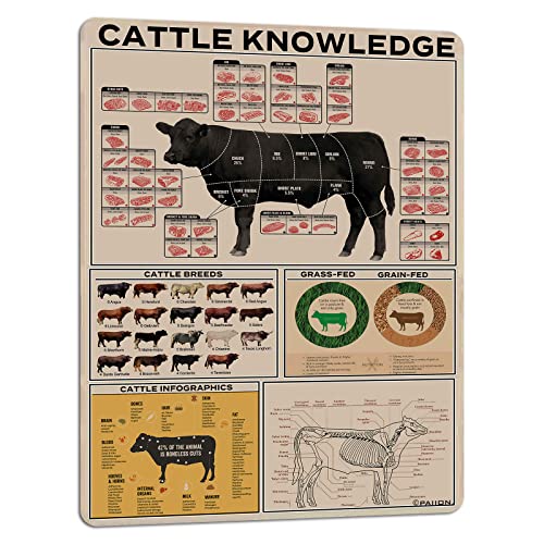 PAIION Cattle Knowledge Metal Tin Sign Breed Information Poster A...