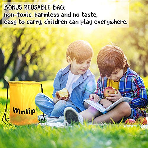 330 Pcs Building Blocks, Educational Building Toys Stem Toys Building Discs Sets Interlocking Solid Plastic For Preschool Toddlers Girls And Boys By Winlip #TOP4