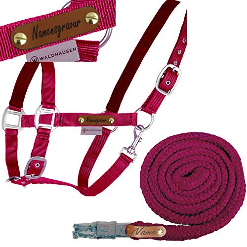 Namensschilder für Pferde – Die 15 besten Produkte im Vergleich - The