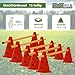 TRUTZHOLM Steckhürdenset 15- teilig 23 cm höhenverstellbar Agility Set Hunde Trainingszubehör Hobby Horsing rot