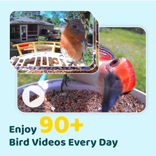 Image of NETVUE by Birdfy Smart Bird Feeder with 2K AI Camera Solar Powered, 3MP Wireless Wildbird Watching, Live Stream & Night Vision, Auto-Capture & Notify, Collection & Cloud Storage (AI by Subscription)