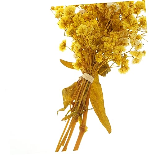 Ramos de flores secas de gypsophila natural para decoración miniatura 6