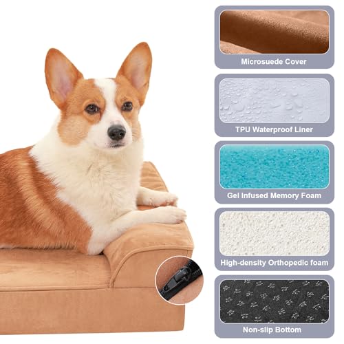 Image of Rainmr Microsuede Dog Bed Orthopedic Washable - Small Medium XLarge Dogs - Memory Foam Couch Sofa with Waterproof Removable Cover, 30x20 Inches, Khaki