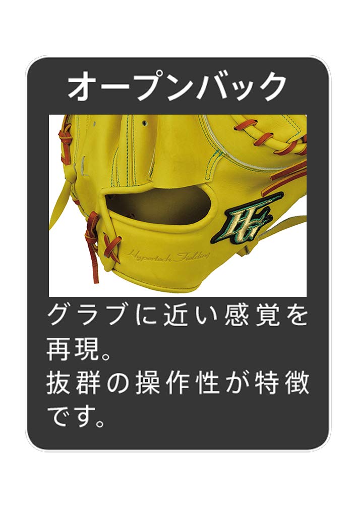 Amazon | HI-GOLD(ハイゴールド) 硬式用キャッチャーミット 技極