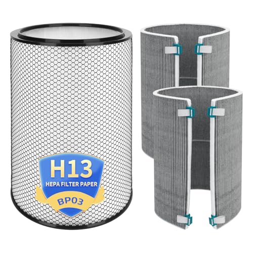 BP03 Filter Replacement Set Compatible with Dyson BP03 BP04 BP06 Purifier Big+Quiet Formaldehyde,H13 HEPA + 2 Activated Carbon Filter (972132-01 & 972133-02)