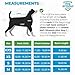 dog armour PRO Protective Dog Harness Vest for Dogs – Shield Your Pet from Raptor and Animal Attacks – Adjustable, Choke Free, Waterproof, Reflective (XXS, Blue)