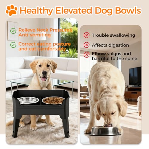 Raised Dog Bowl With Stand - 4 Height Adjustable Elevated Dog Bowls Dog Feeding Station 2x 1600ml Stainless Steel Food and Water Bowl Set Pet Feeding & Watering Supplies for Small Medium Large Dogs - Image 3