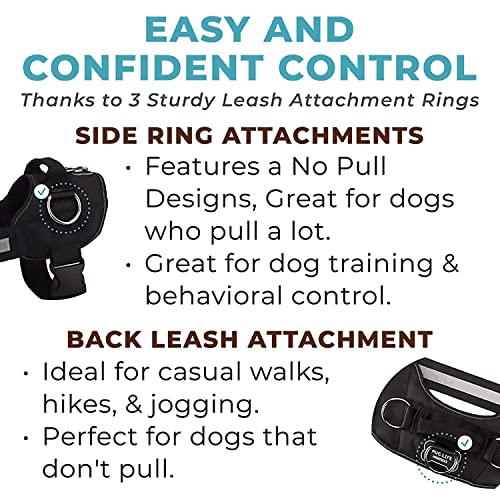 Joyride Harness for Small, Medium, Large Dogs, No-Pull Pet Harness with 3 Side Rings for Leash Placement, Adjustable… - Image 6