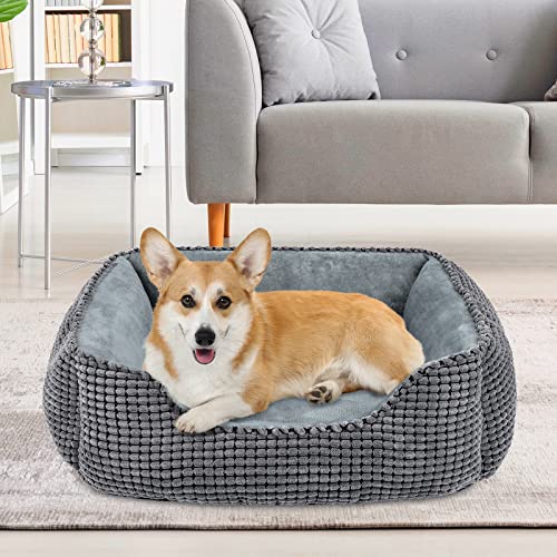 JOEJOY Cuccia Cane Interno, Cuccia per Cani