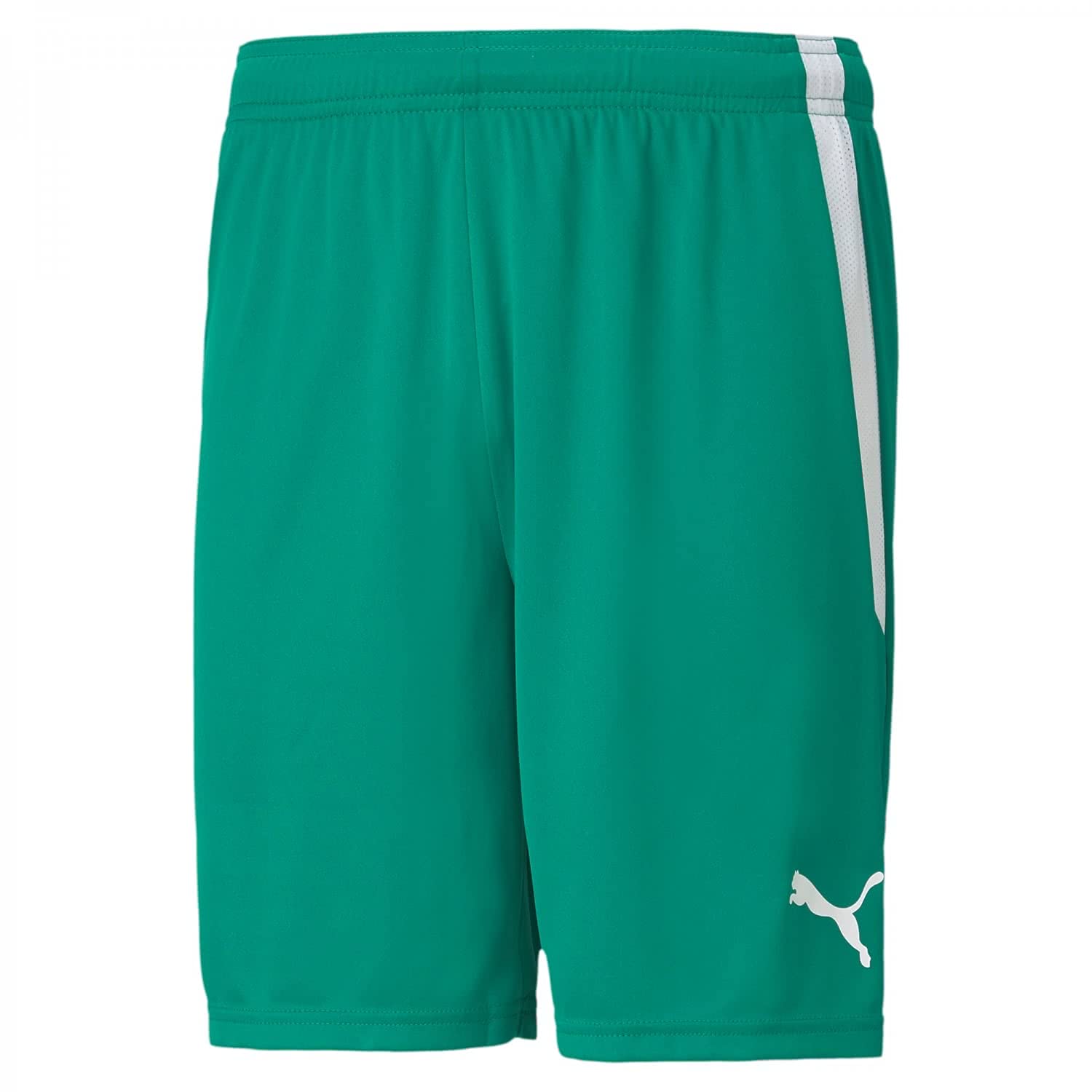 PUMA Teamliga Unisex Shorts, Pepper Green-puma White, XL