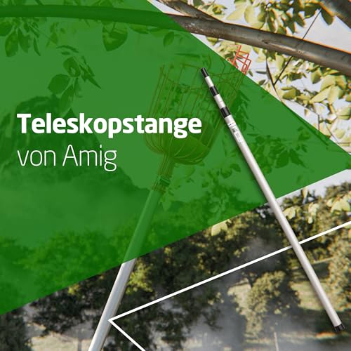 Amig - Teleskopstange aus Aluminium - Ausziehbare Stange bis zu 2,4 Meter - Stange kompatibel mit Mehreren Gartengeräten - Leicht und robust - Ideal für Arbeiten in der Höhe