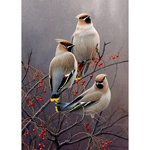 Kit Diamant Peinture 5D Three little birds perles carrées et rondes grand format mosaïque 70x140cm