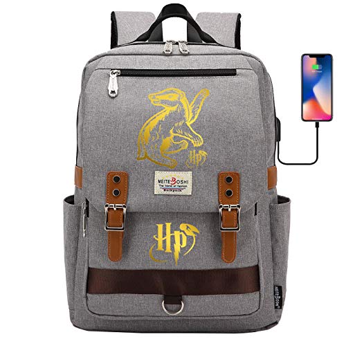 DDDWWW Mochila Multifuncional Impermeable para portátil Mochila Ligera Casual de Lona HP Gris Cover