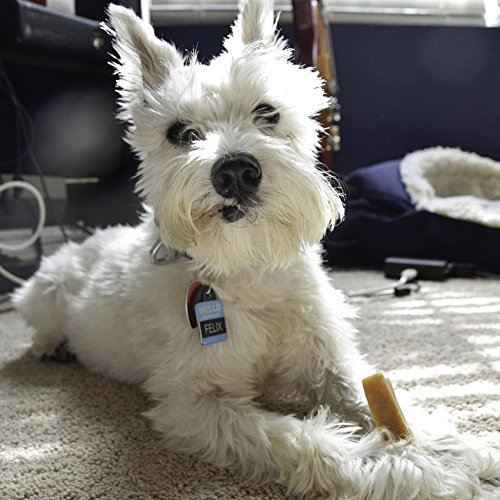 Chewmeter Himalayan Yaky Cheese Chew, 100% Natural, Long Lasting, Gluten Free, Healthy & Safe Dog Treats, Lactose & Grain Free, Protein Rich, Stain Free, Small, For Dogs 15 Lbs & Smaller, 3.3 Ounce #TOP4