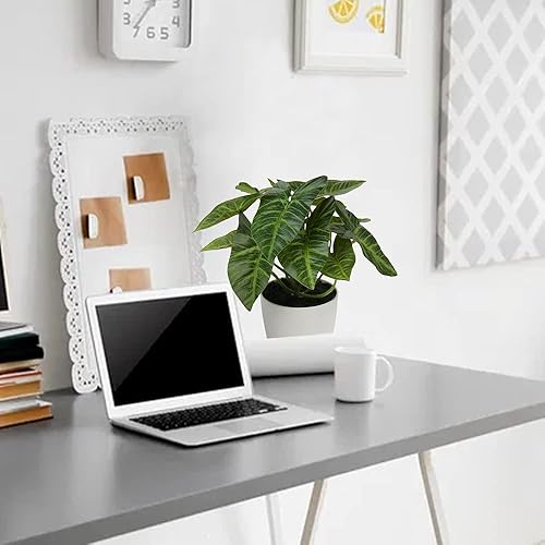 Miniatura 3 de Briful 2 plantas artificiales en maceta de Alocasia, Begonia Calathea, mini plantas falsas en maceta de plástico, pequeñas plantas de imitación de