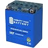 Mighty Max Battery YTX14AH 12V 12AH Gel Replacement for CTX14AH-BS, CB14A-A2, YB14A-A2