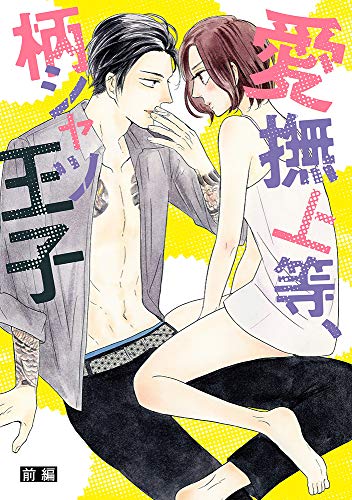 Amazon.com: 美波はるこ: books, biography, latest update