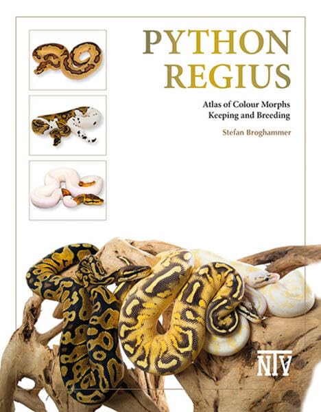 Python regius: Atlas of Colour Morphs, Keeping and Breeding