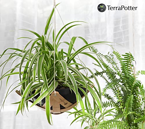 Terrapotter Hanging Planters For Indoor Plants - 9.5 (D) 3.4 (H) Shallow Ceramic Hanging Pot With Bamboo Hanging Plant Holder - Handmade Hanging Pots For Plants Indoor – Plant Hanger Indoor #TOP1