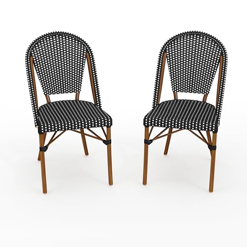 Martha Stewart Lily Pond Chairs Set of 2