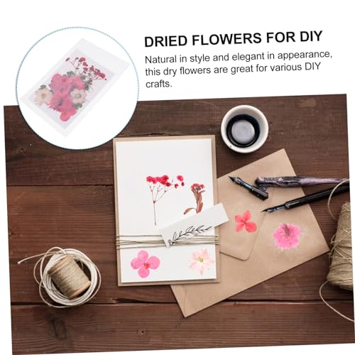 30 piezas de flores secas para manualidades DIY miniatura 4