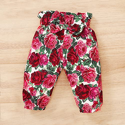 Baby Meisje Bloemen Romper Broek Hoofdband Kleding Set Lente Herfst Winter Outfit Homewear voor Peuter Meisjes - Image 8