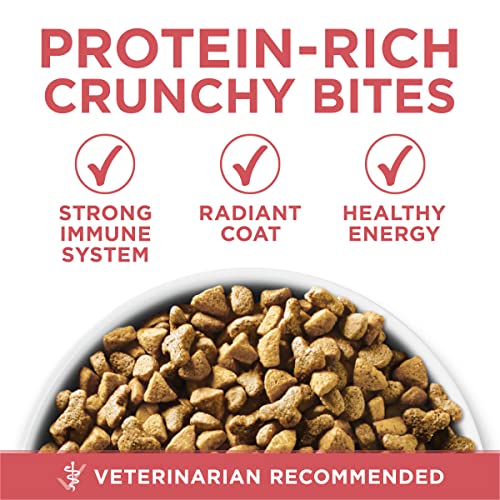 Purina One 00017800193375 Natural Low Fat, Indoor Dry Weight Control High Protein Cat Food Plus Indoor Advantage thumb #1