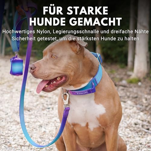 Spark Paws Taktisches Hundehalsband – Robuste, Premium-Qualität, Dick und Langlebig für Große und Mittelgroße Hunde - 90s Retro - - S: 16-25kg [5cm]