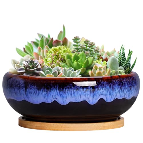 SQOWL 7 Inch Round Ceramic Succulent Planter Pot...