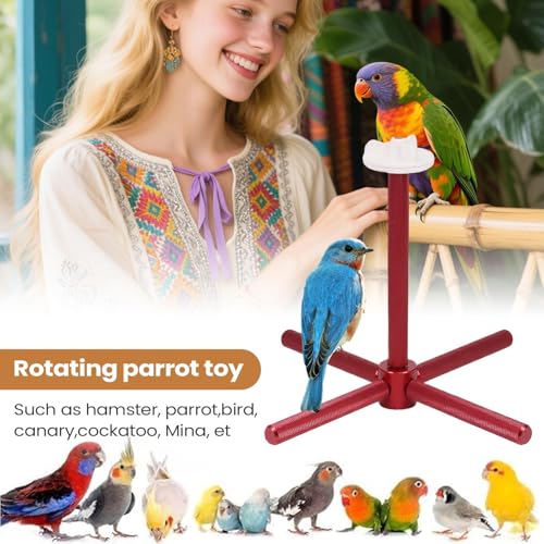 Perchoir pour oiseaux avec support cage à mâcher pour exercice de conure et canari - 4