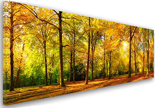 Feeby Frames, Leinwandbild, Bilder, Wand Bild Cover