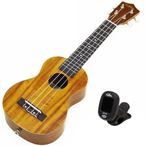 EN AA AU-1KG \vm `[i[t AJVARA Aria  (nCARÂ悤ȉ؂₩ȉF)(Ghst)(u)