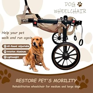 Sedia A Rotelle Per Cani,Zampe Posteriori 2 Ruote,Tutore Esercizi Di Assistenza Alla Deambulazione Disabili,Camminare Con La Zampa Anteriore Ferita/Paralizzata(XXL,Blue)
