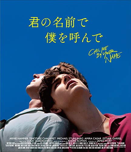 君の名前で僕を呼んで コレクターズ・エディション (初回生産限定) [Blu-ray]