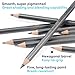 Dyvicl Professional Drawing Sketching Pencil Set - 12 Pieces Drawing Pencils 10B, 8B, 6B, 5B, 4B, 3B, 2B, B, HB, 2H, 4H, 6H Graphite Pencils for Kids, Beginners, Pro Artists