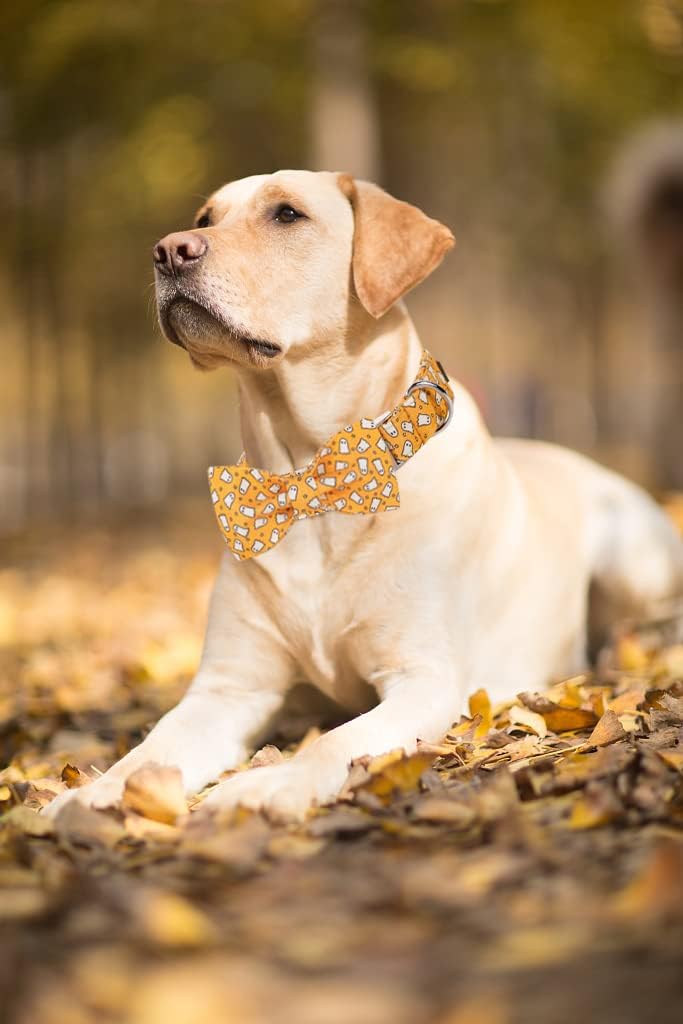 Lionet Paws Dog Collar with Bowtie, Halloween Bowtie for Dogs Adjustable Comfortable Large Dog Collar Girl Boy, L, Neck 40-60cm - Image 5