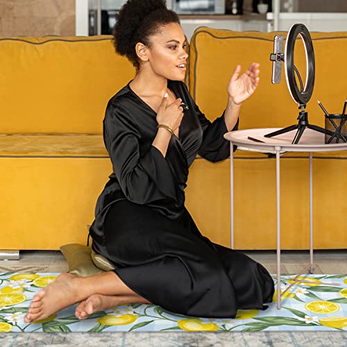 Lemon Kitchen Mat Rug Set Of 2- Lemon Kitchen Rugs With Runner, Lemon Kitchen Decor Accessories Things, Buffalo Plaid Kitchen Rug Mat- Yellow Blue Rugs For Home Kitchen Large- 17X30 And 17X48 Inch #TOP6